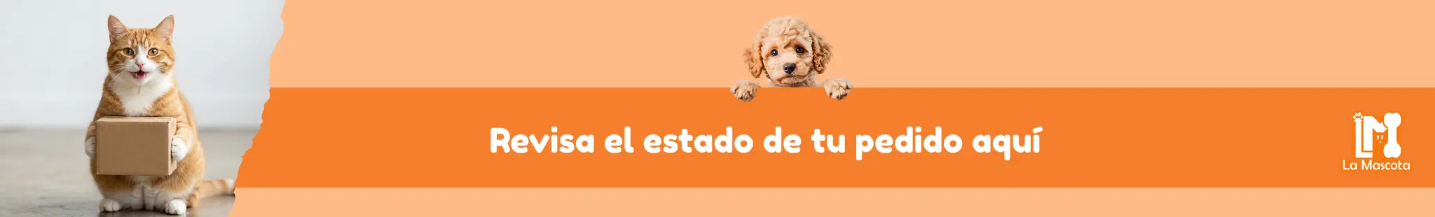 Título de la sección