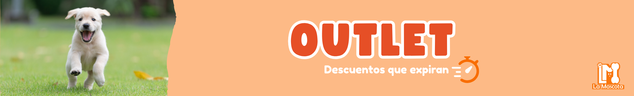 Título de la sección