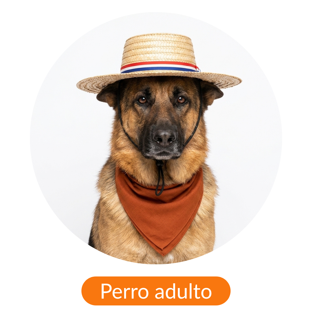 La Mascota