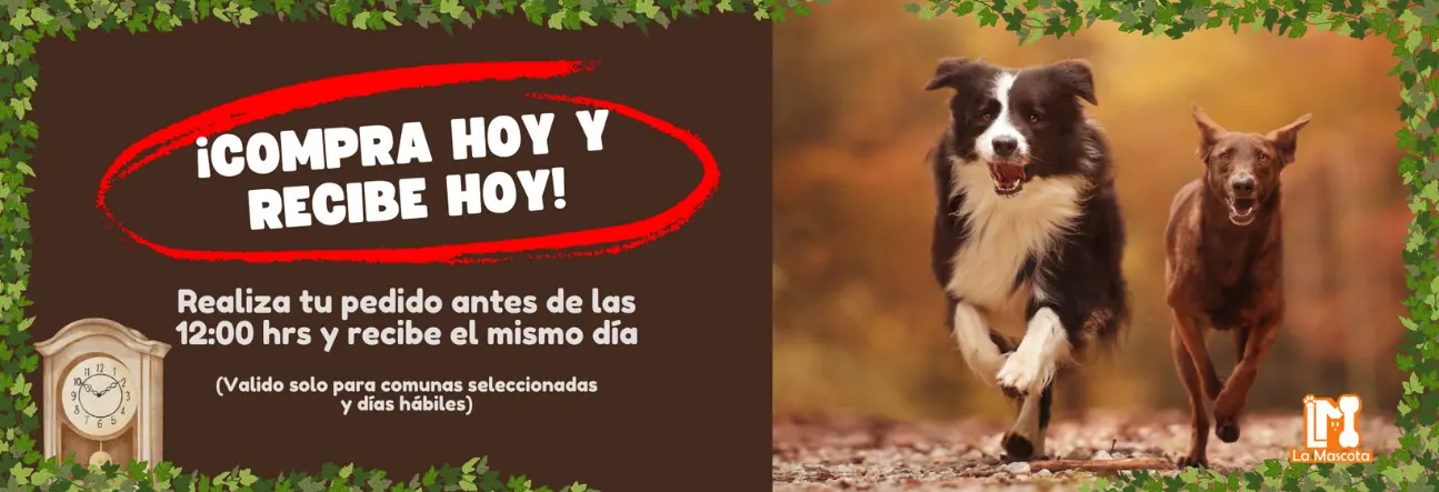 Compra hoy, recibe hoy desktop