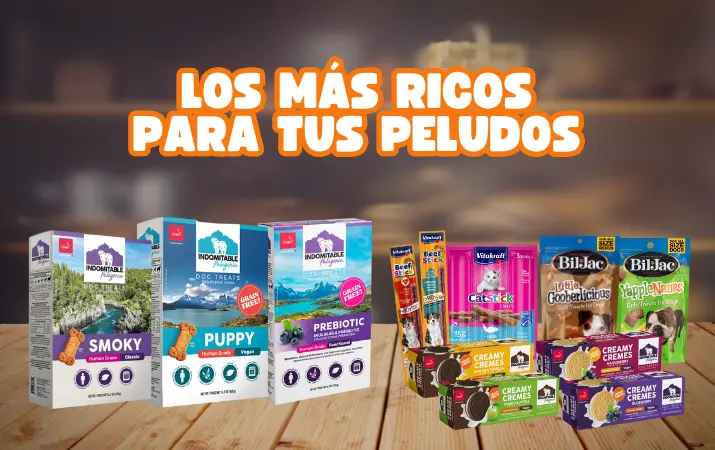 Los mejores snacks