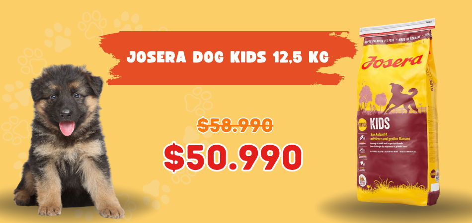 Josera