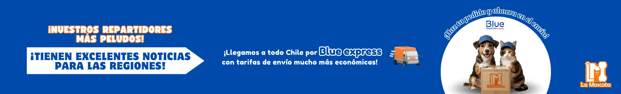 Envío a Regiones por Blue Expess