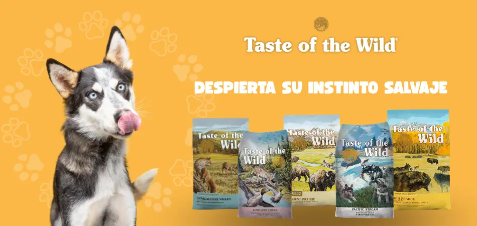 Taste of the Wild