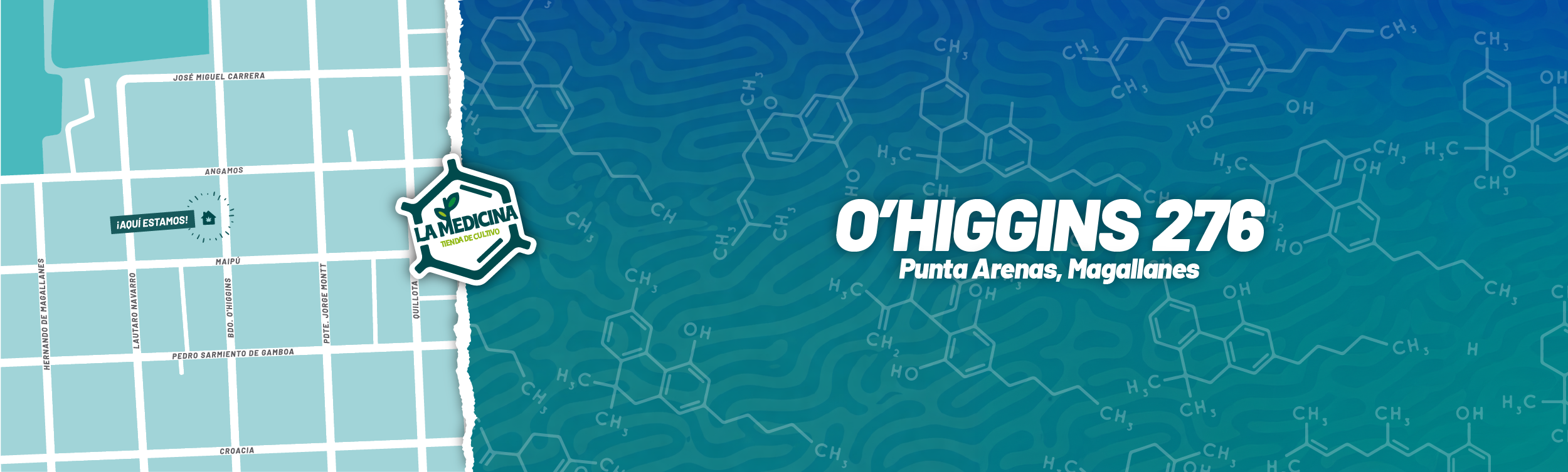 La Medicina Tienda de cultivo