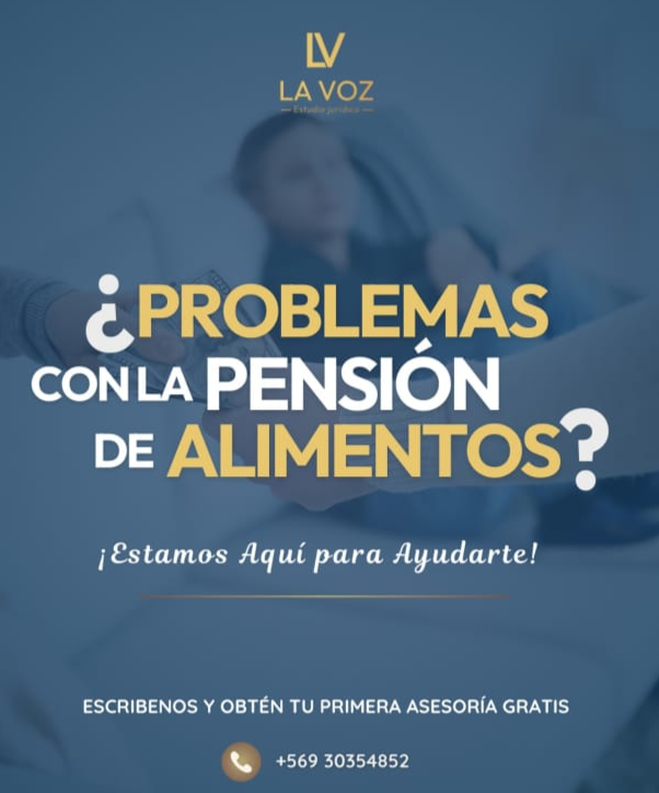 Pensiones De Alimentos