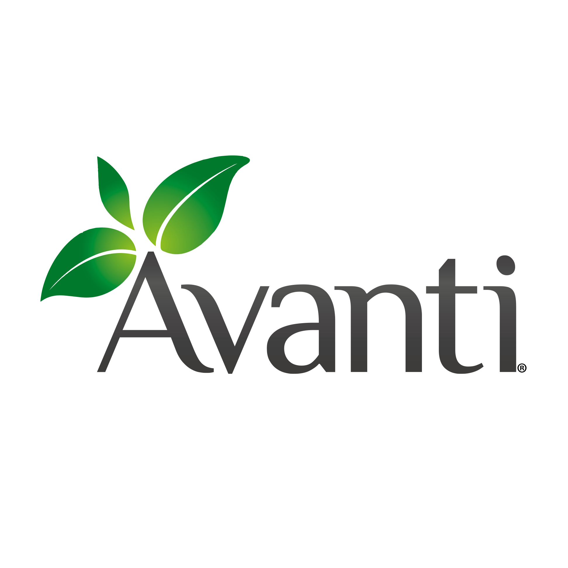 Laboratorio Avanti