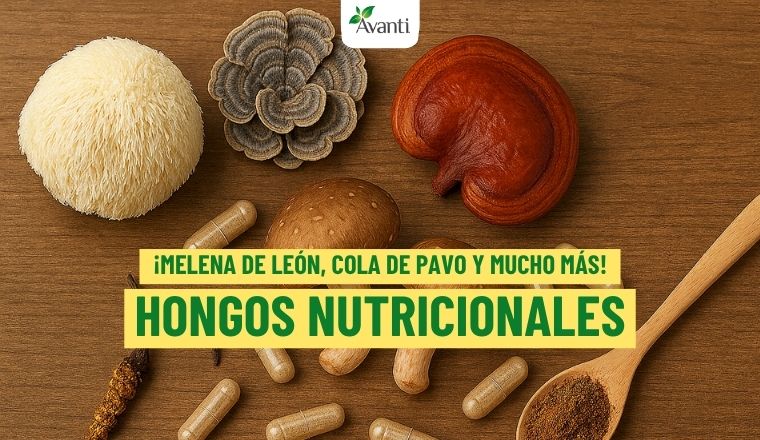 Hongos Nutricionales y adaptogenos Avanti