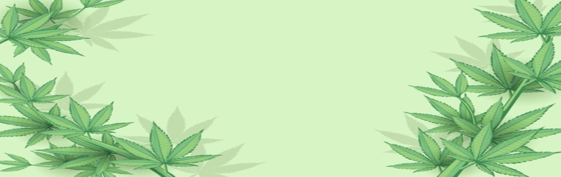 BIENVENIDOS A LABRANZEEDS