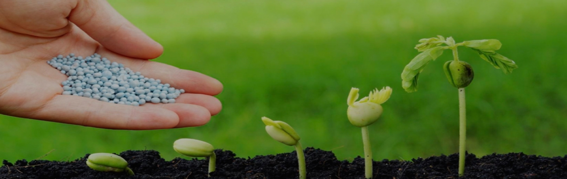 Todo lo que necesitas para tu cultivo