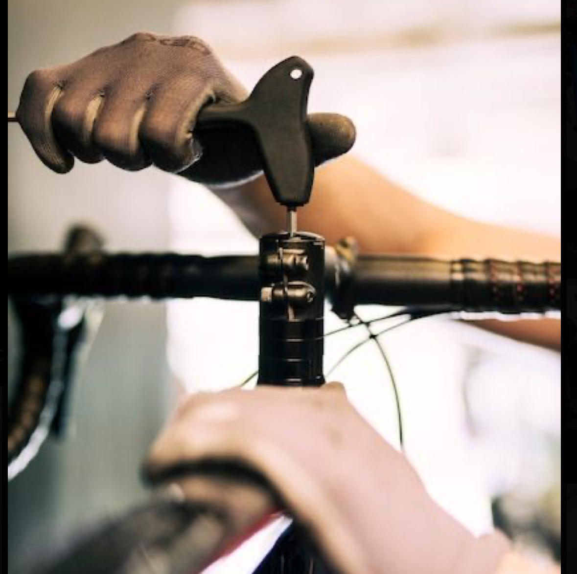 Servicio especializado