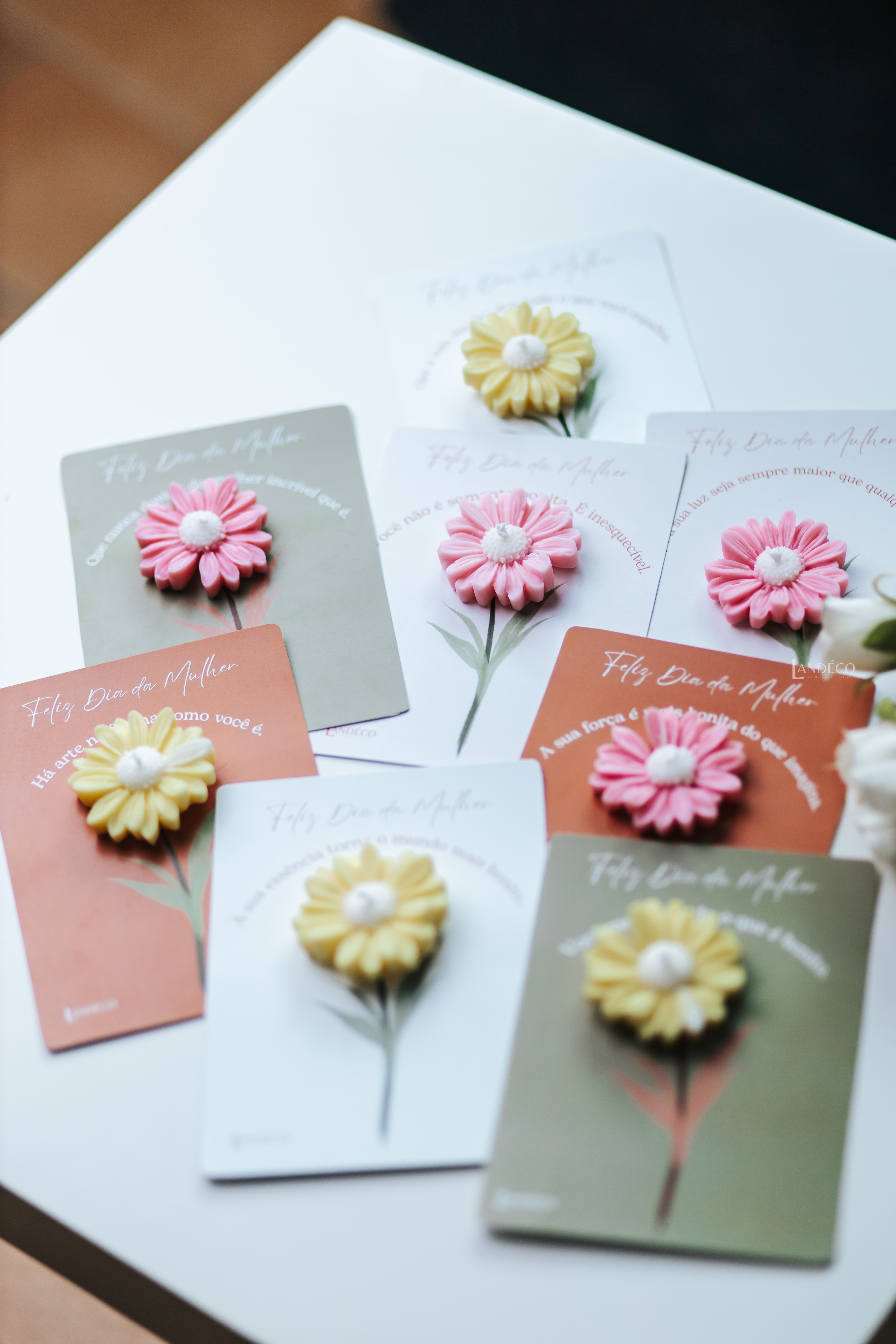 Dia da Mulher - 8 de Março