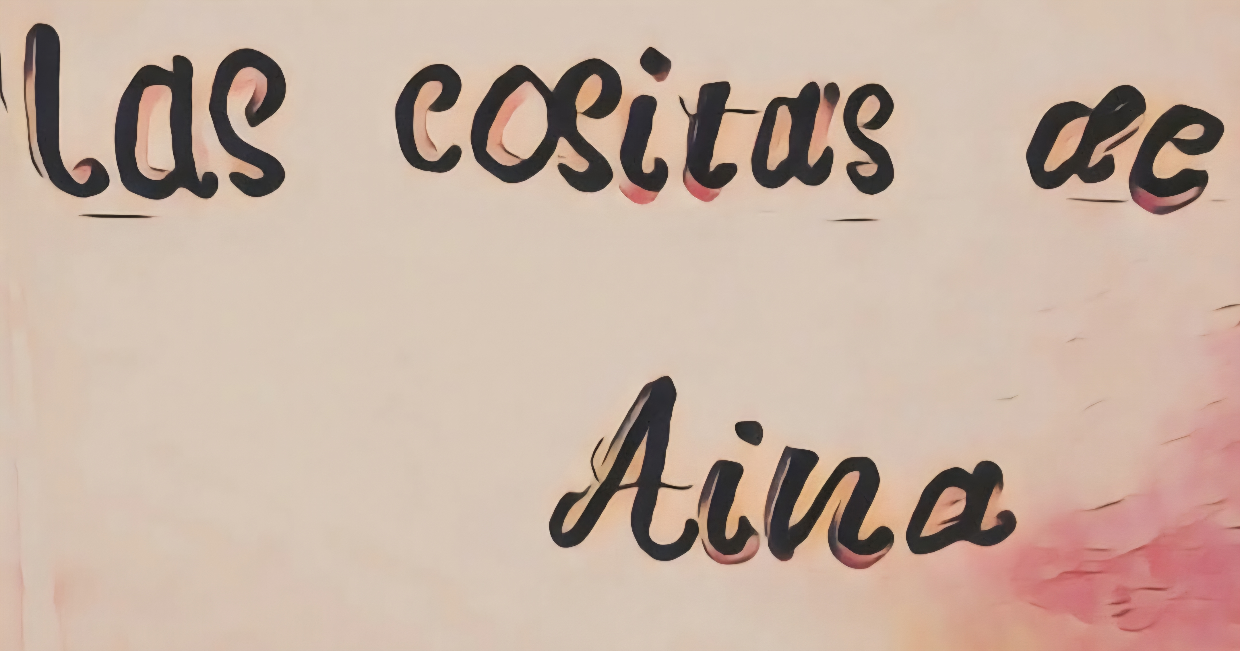 Las cositas de Aina