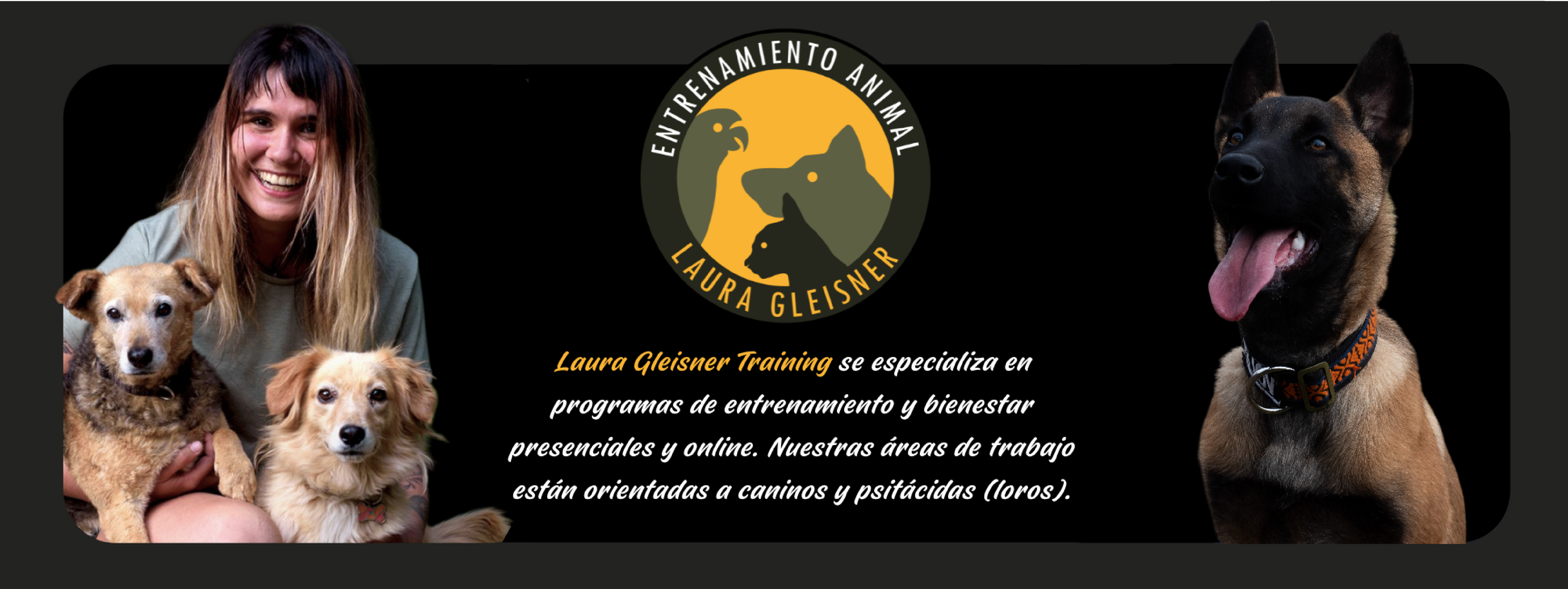 Título de la Sección