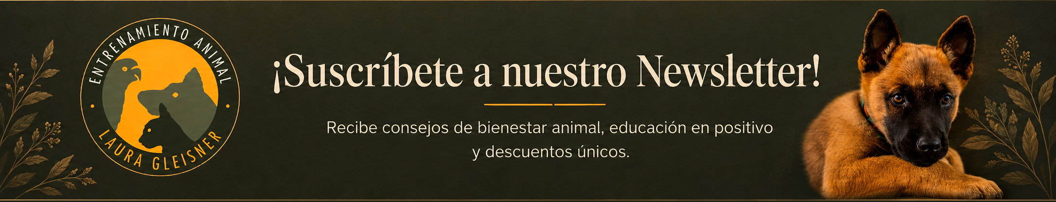 Título de la Sección