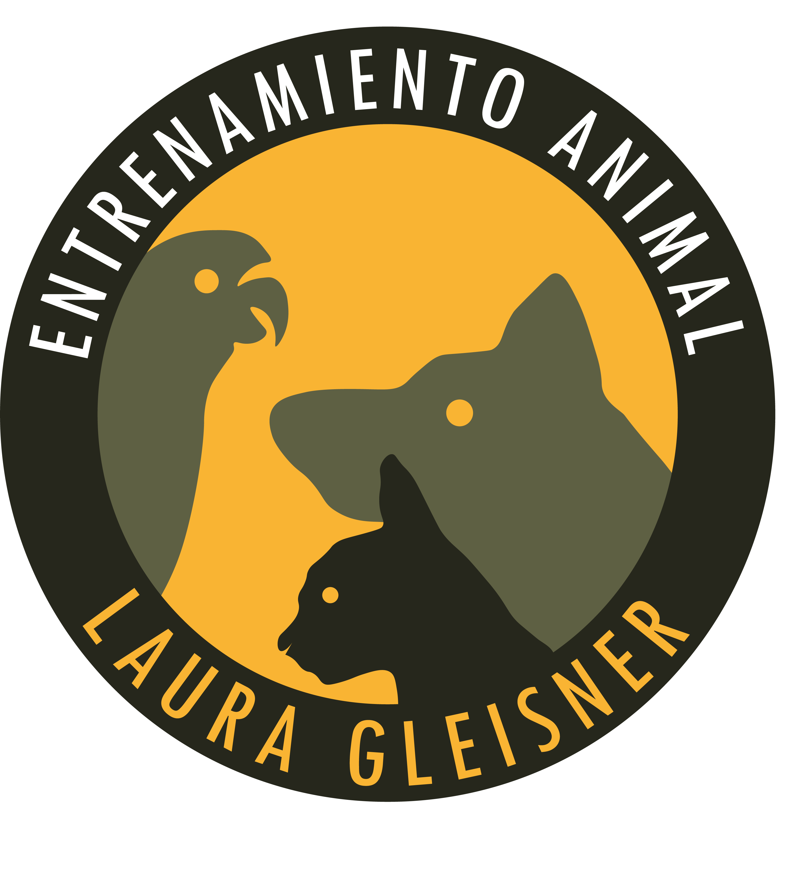 Laura Gleisner Training