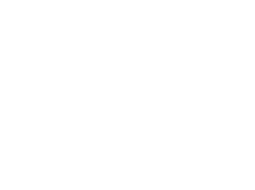 Logo de Zorro Ártico, modalidad premium de sello editorial de Letras y Punto Editorial, editorial en Chile que ofrece una propuesta editorial integral para la publicación de libros.