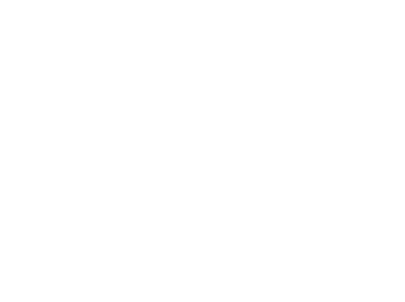 Zorro Rojo