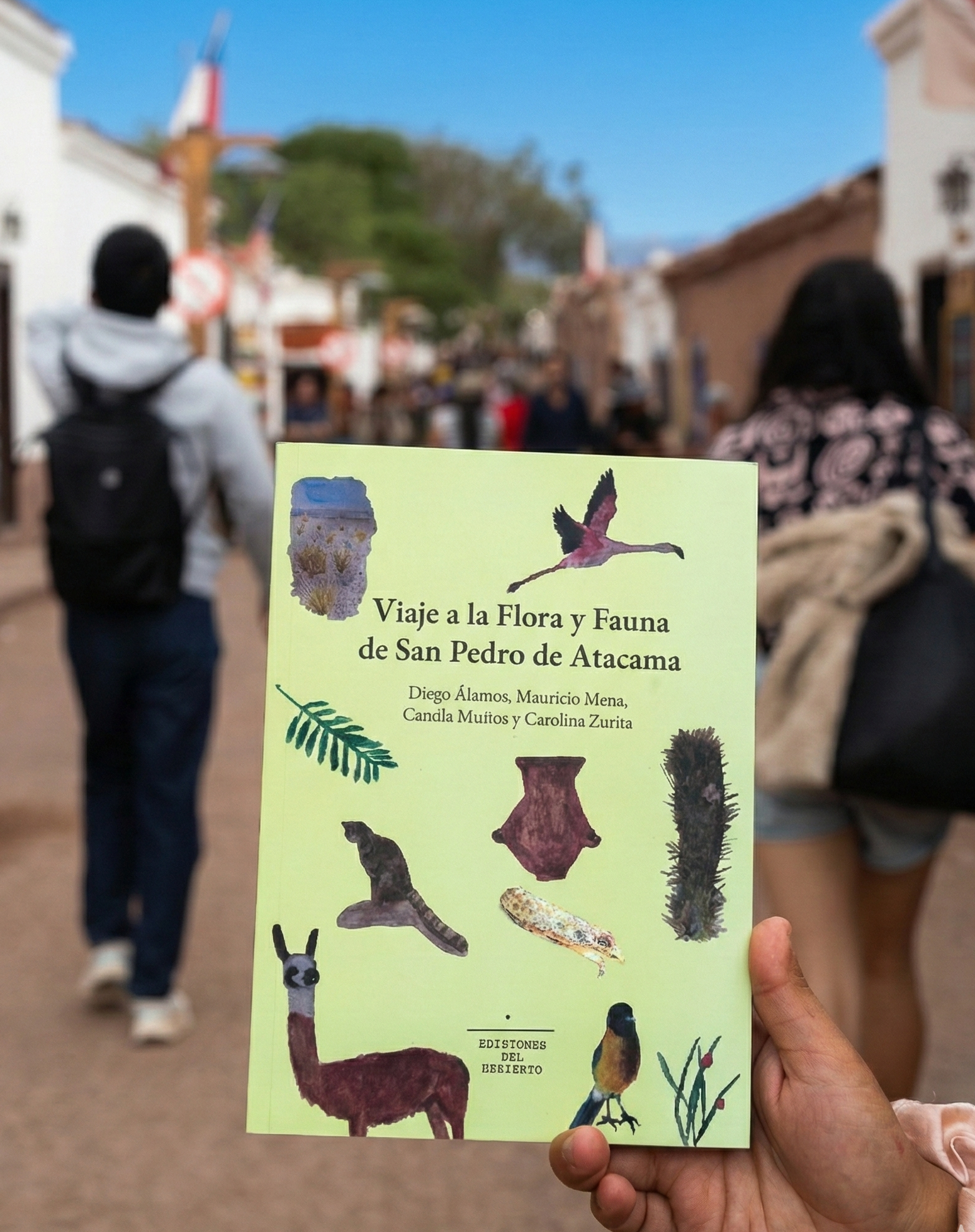 Novedad