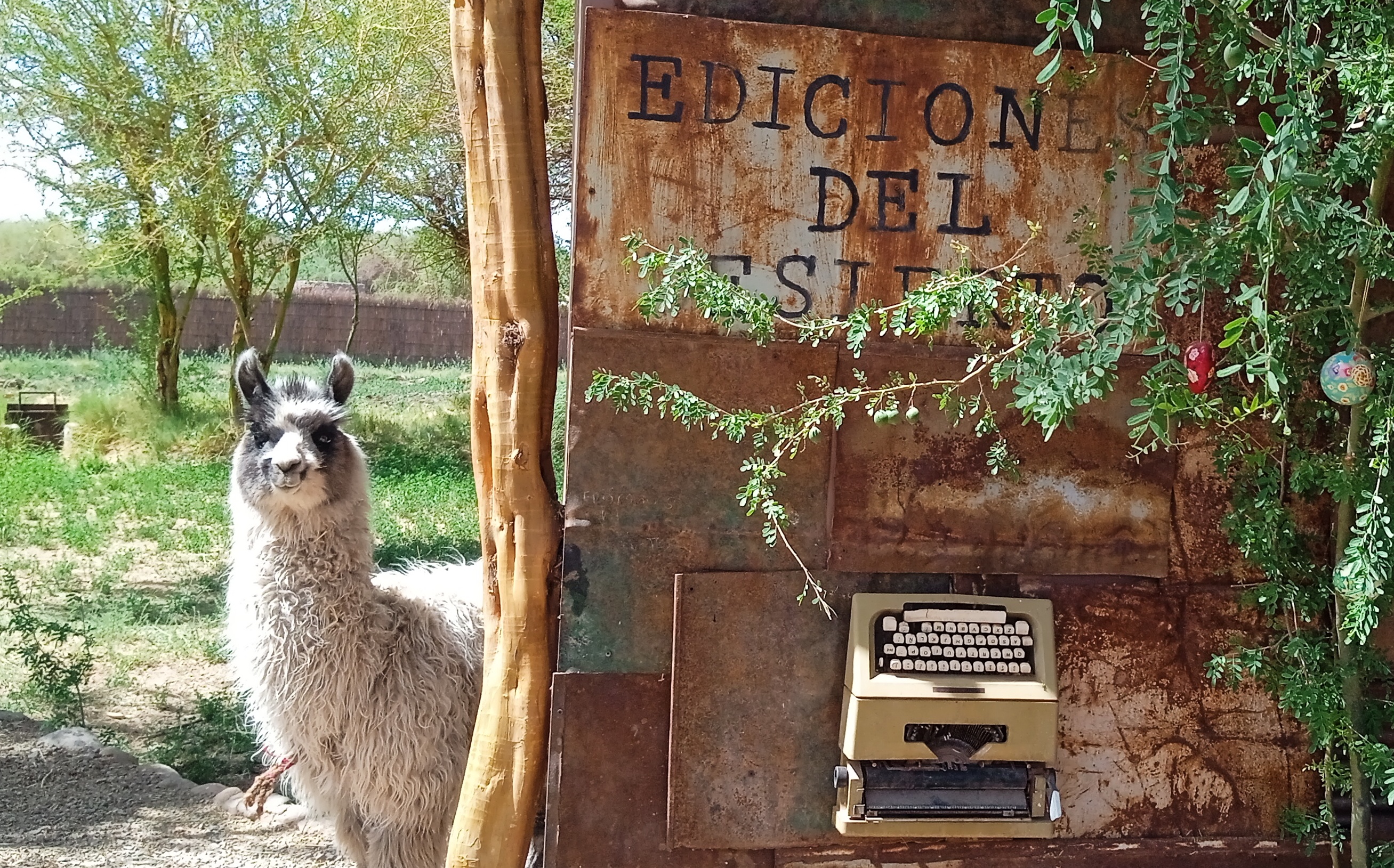Ediciones del Desierto