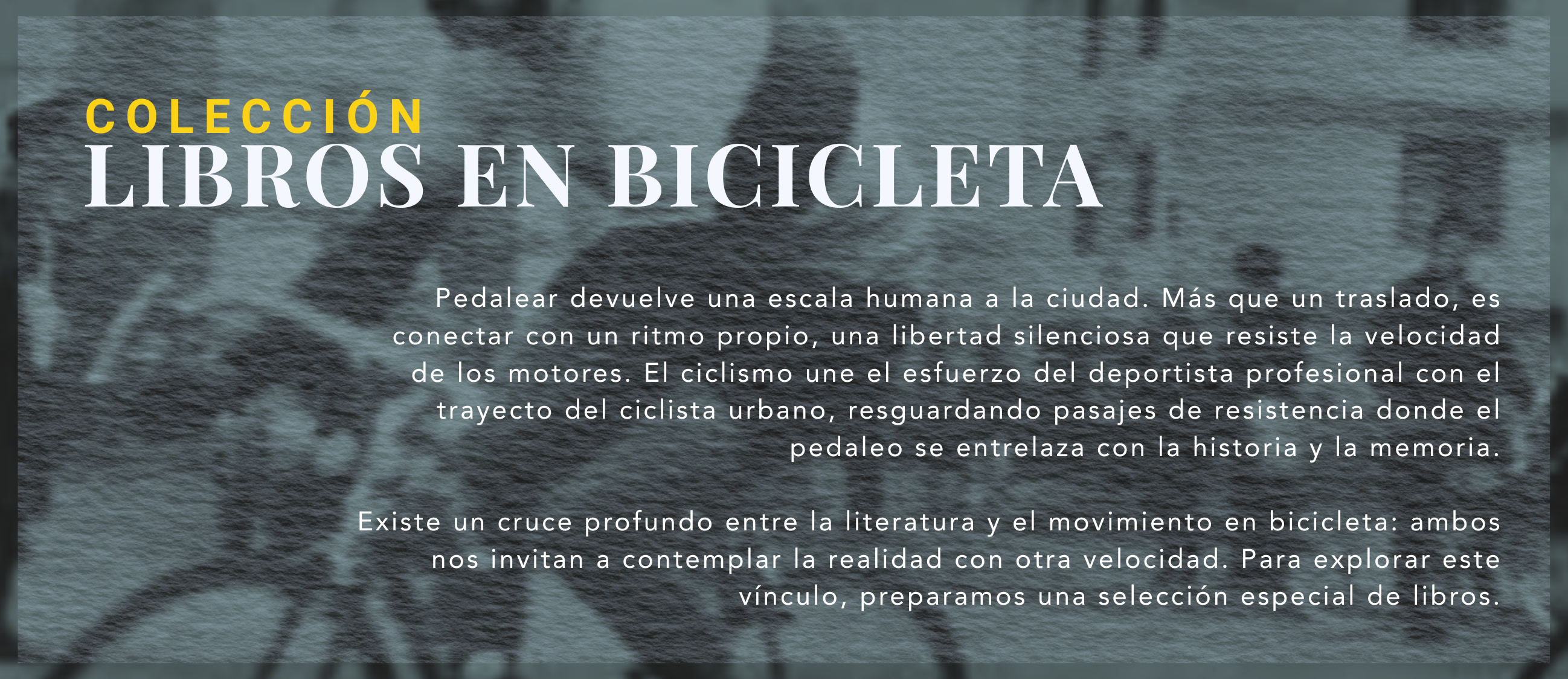 Biblioteca