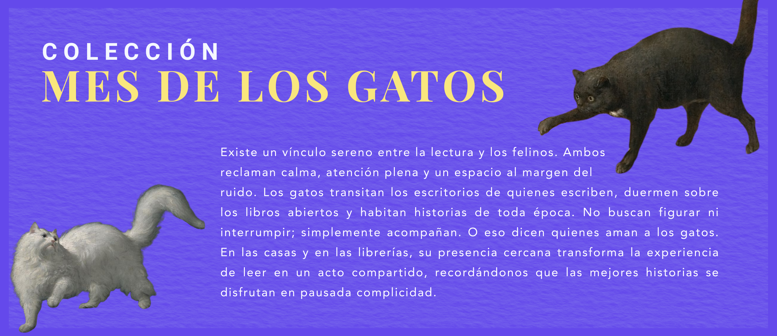 Biblioteca