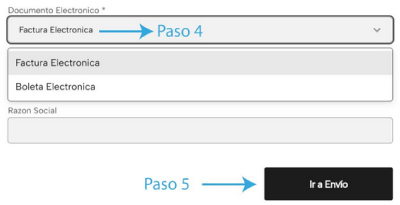 Ejemplo visual del paso 5 - selección de factura