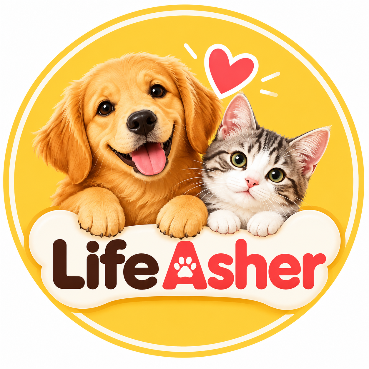 Life Asher