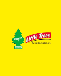 limpieza automotriz 