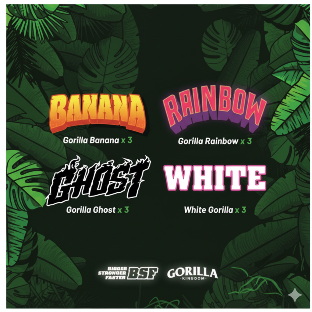 Comercial Lion Store