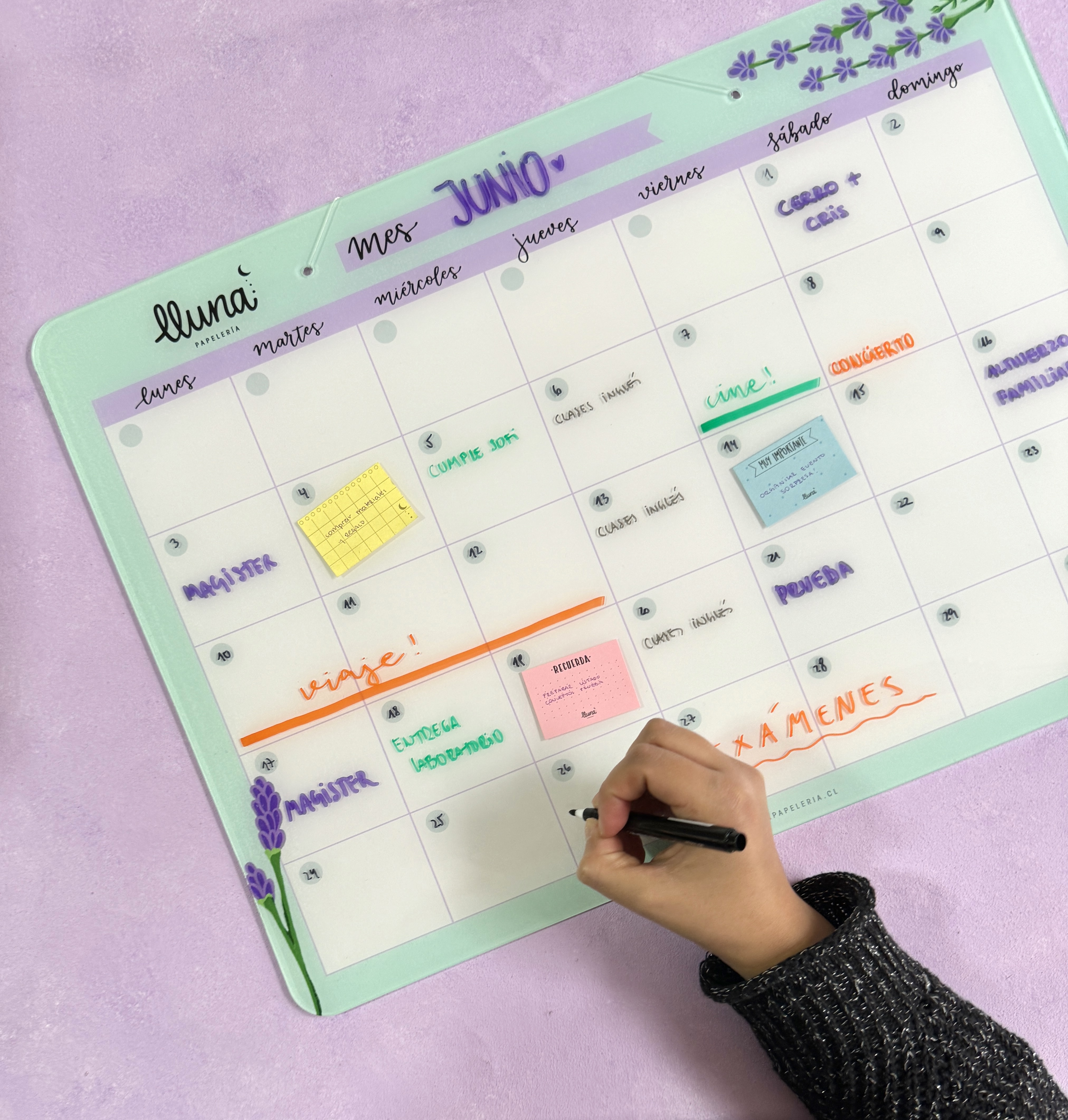 Para una Carga Baja de actividades