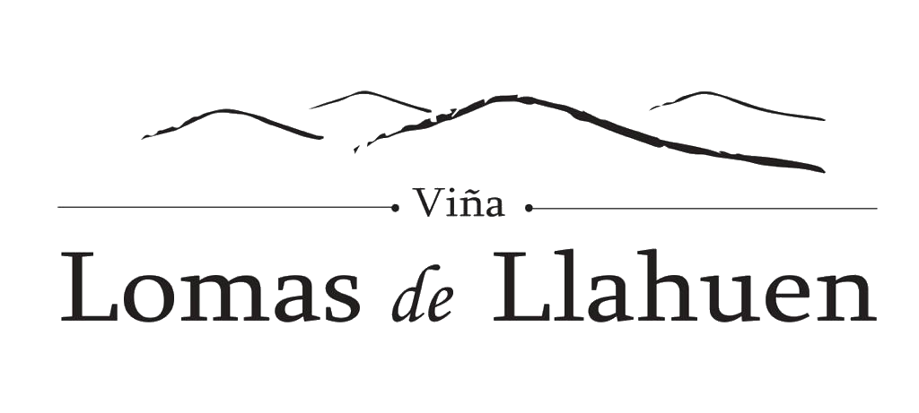 Lomas de Llahuen