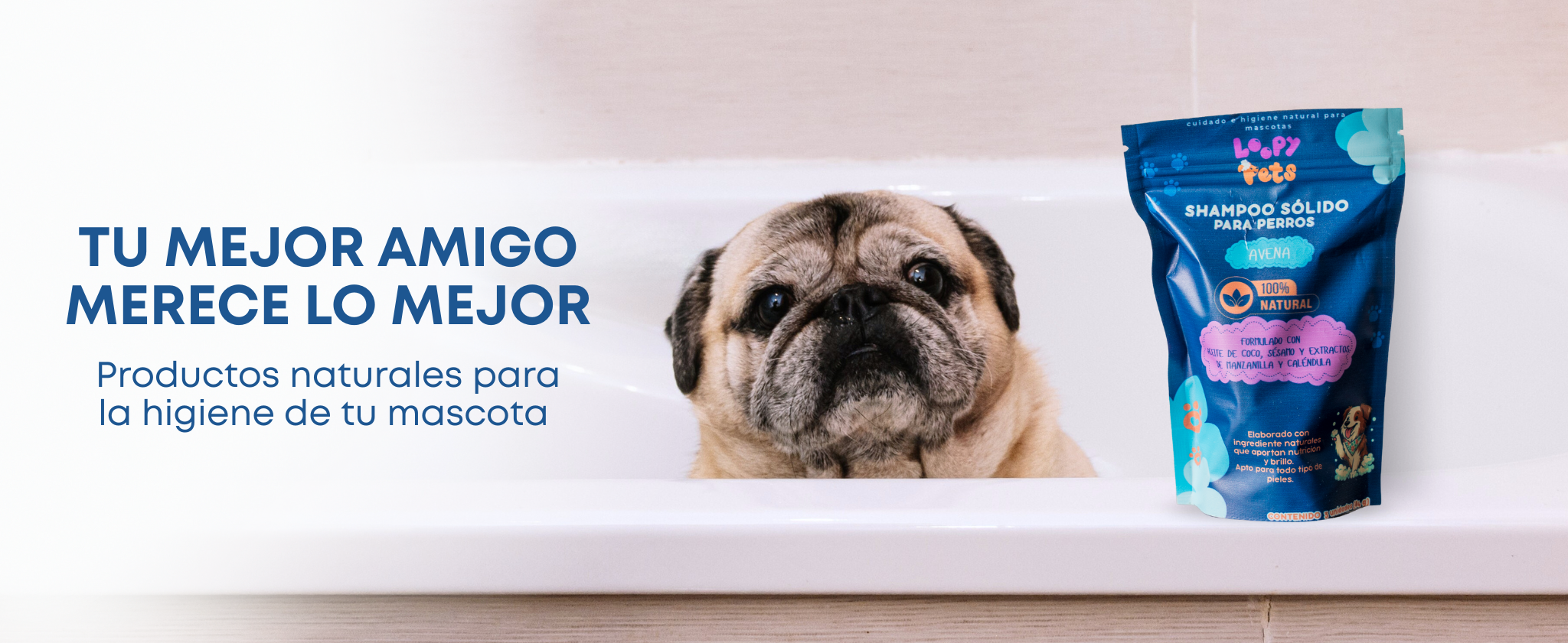 Título de la Sección