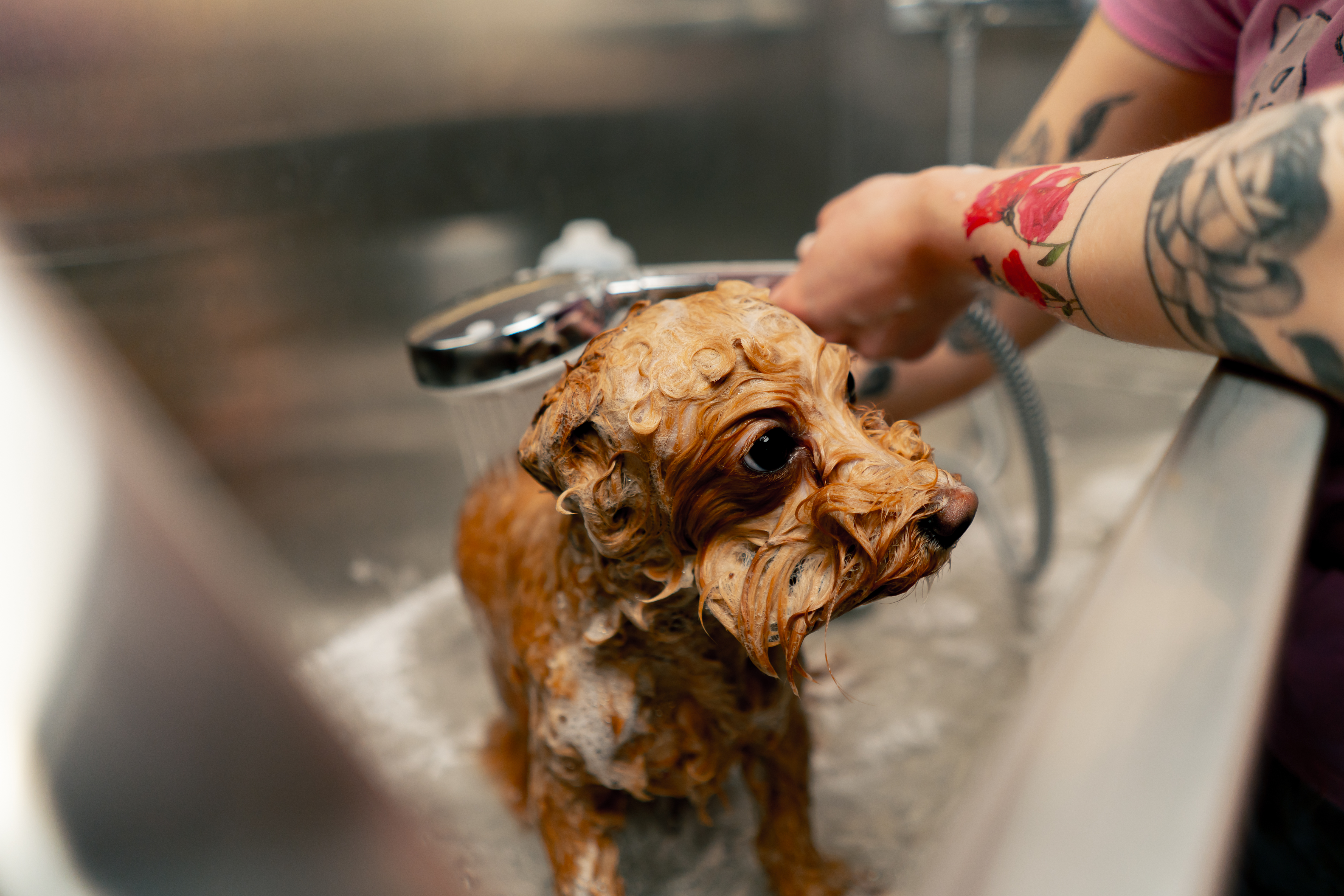 Productos de higiene premium