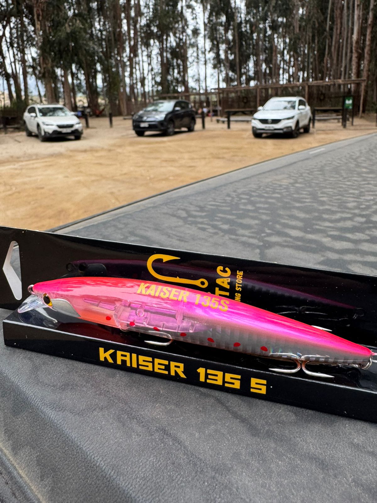 Título de la Sección