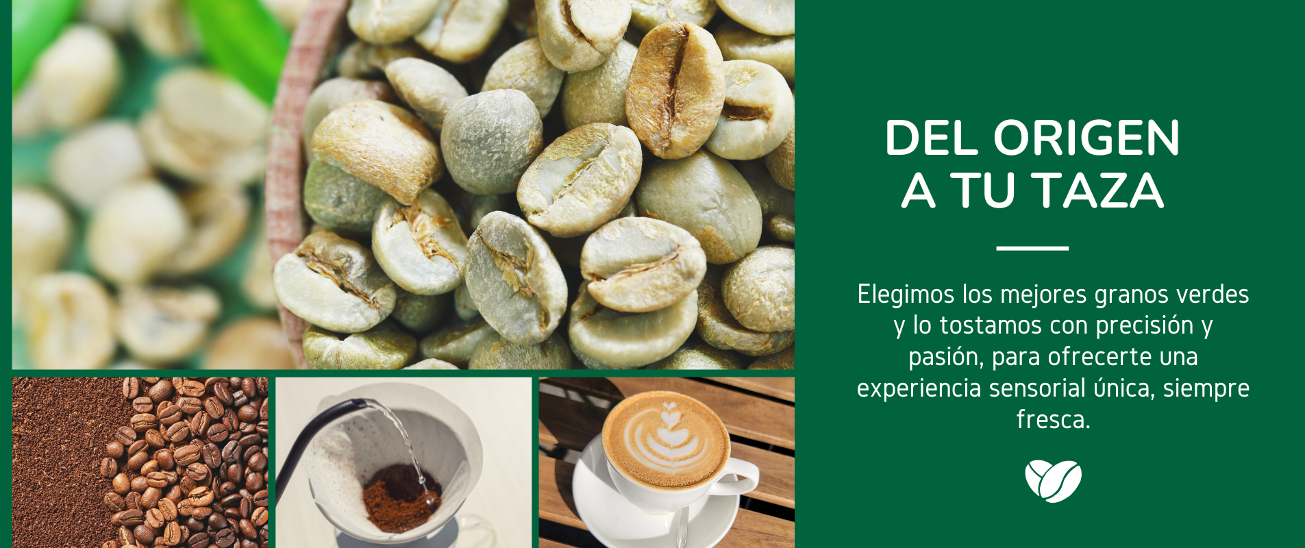 Lynn Café | Tostaduría y Cafetería de Café de Especialidad en Santiago