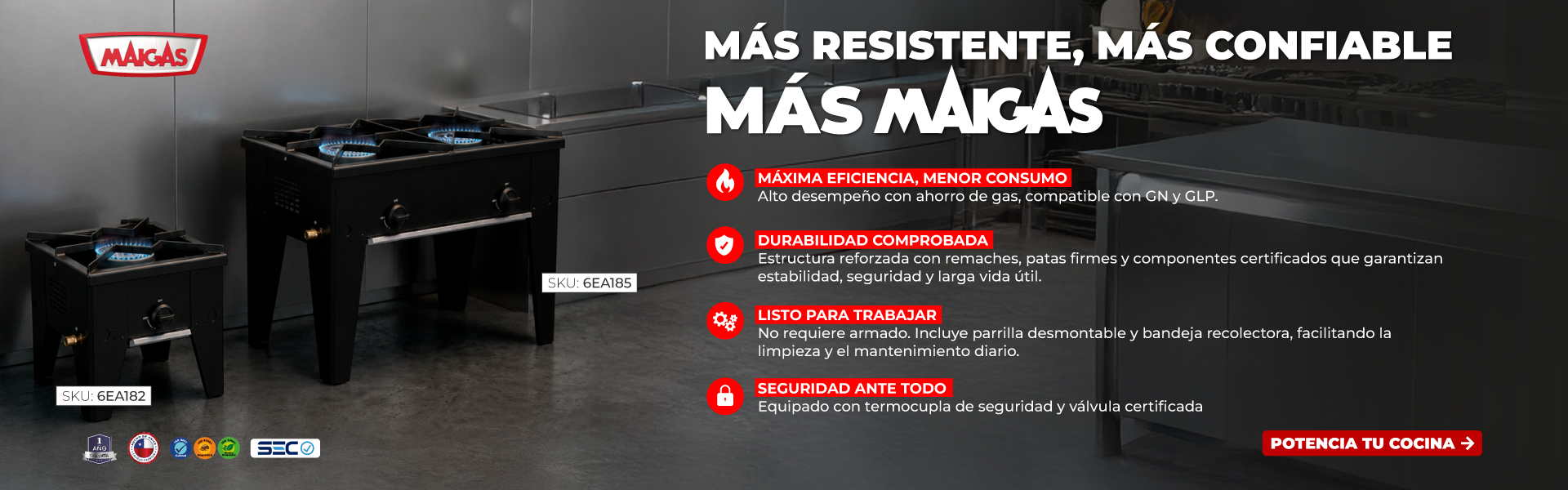 Maigas