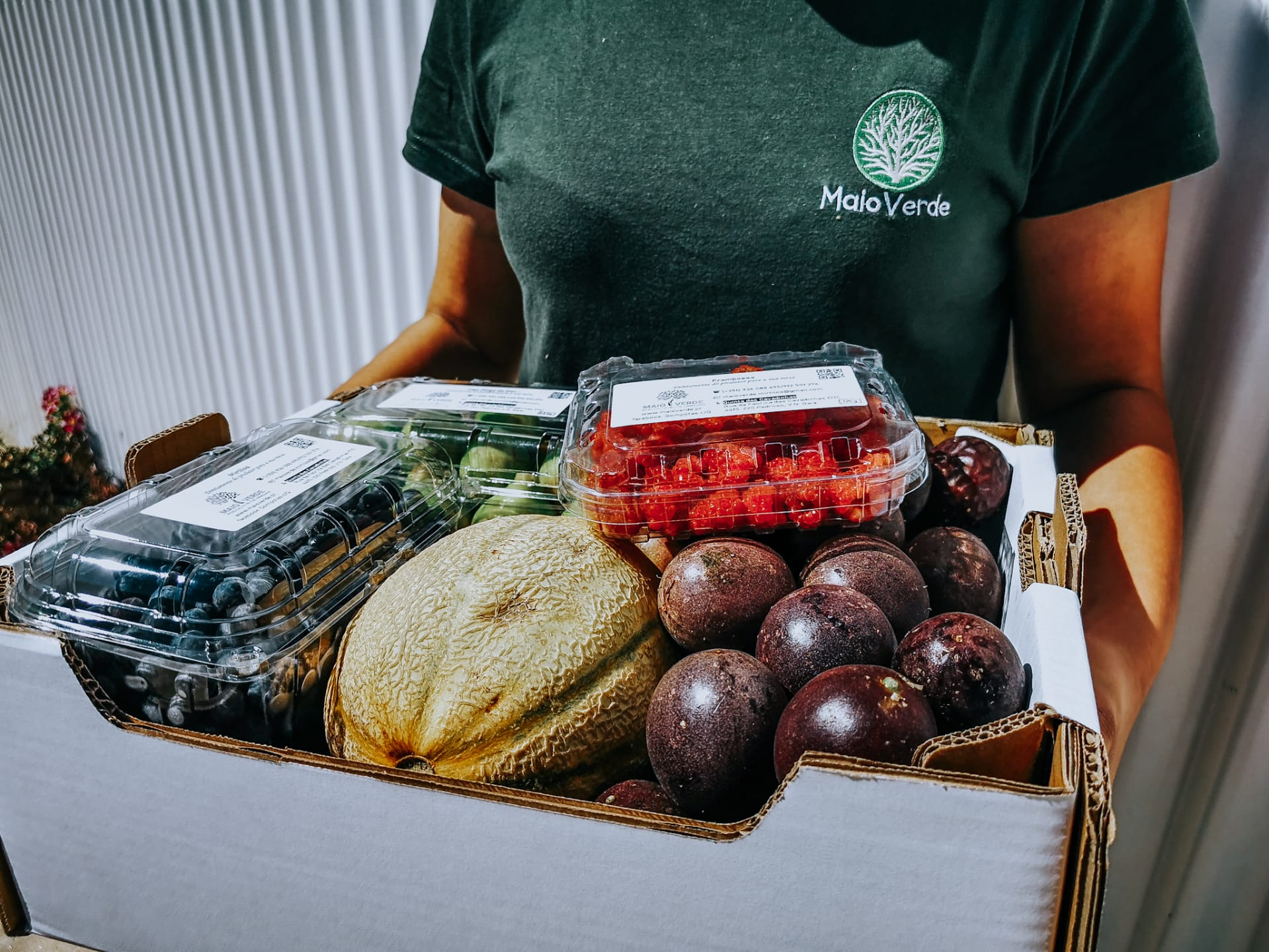 Entregas rápidas de Frescos