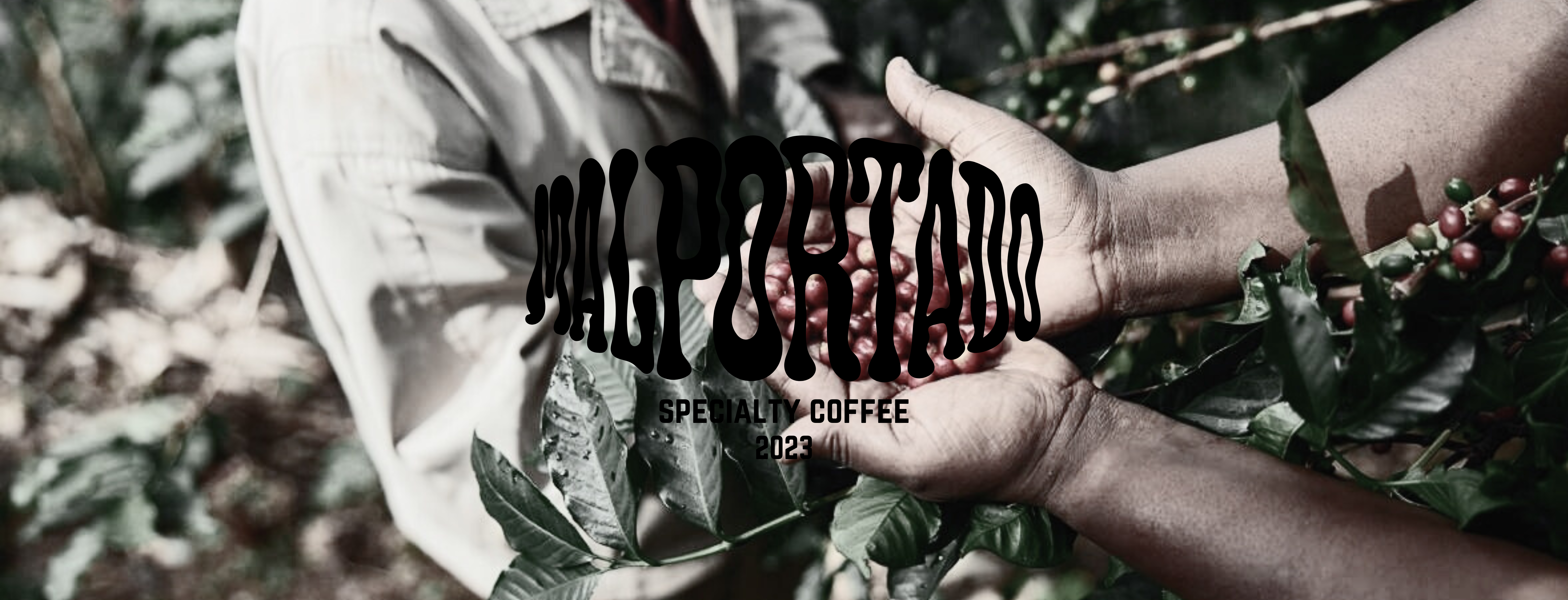 Título de la Sección