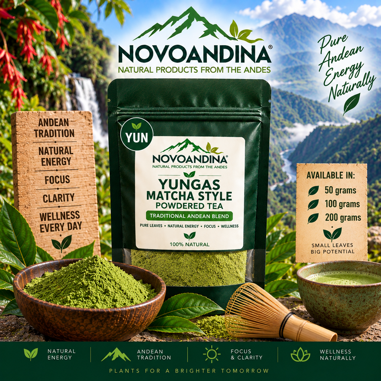 Yungas 