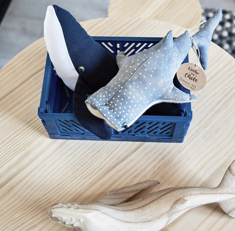 Encuentra diseños únicos