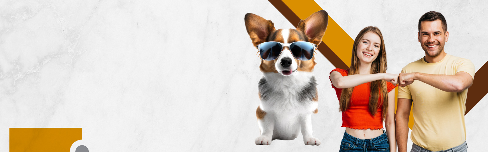 🐶 PRODUCTOS PARA TU MASCOTA