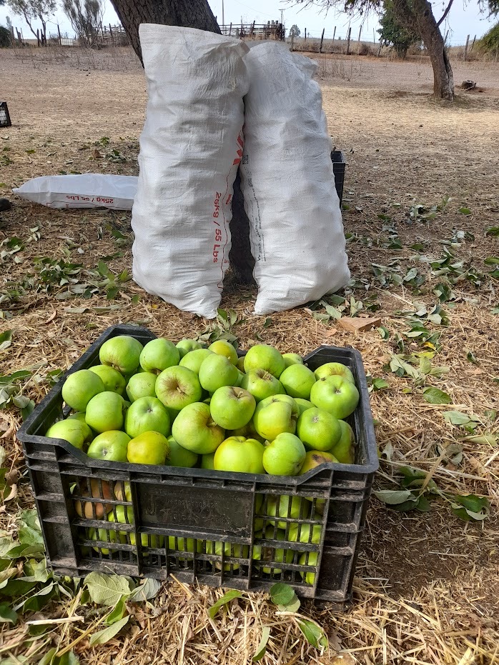 SIDRERÍA MANZANO HUACHO