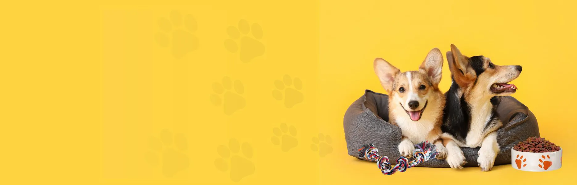A sua loja de animais de confiança para mimar o seu melhor amigo