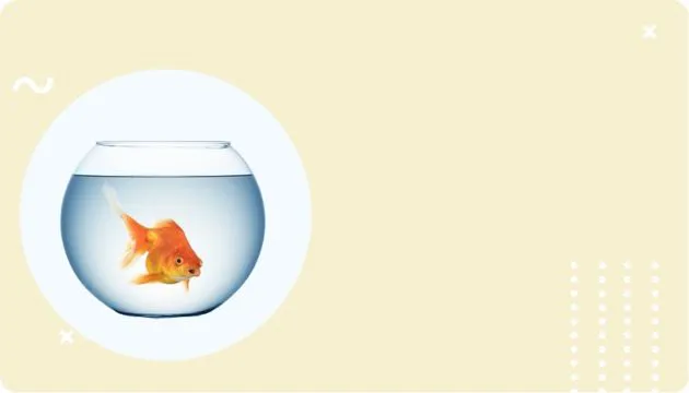 Peixe