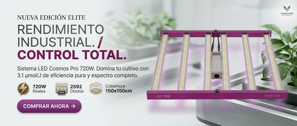 Título de la Sección