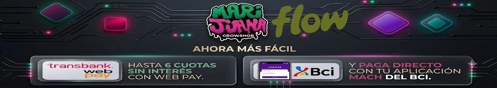 Título de la Sección
