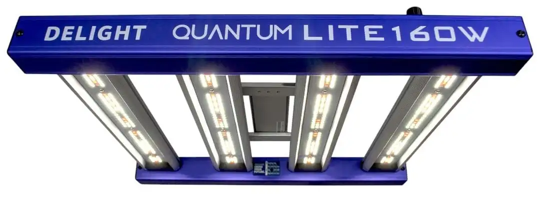 FAMILIA QUANTUM LITE