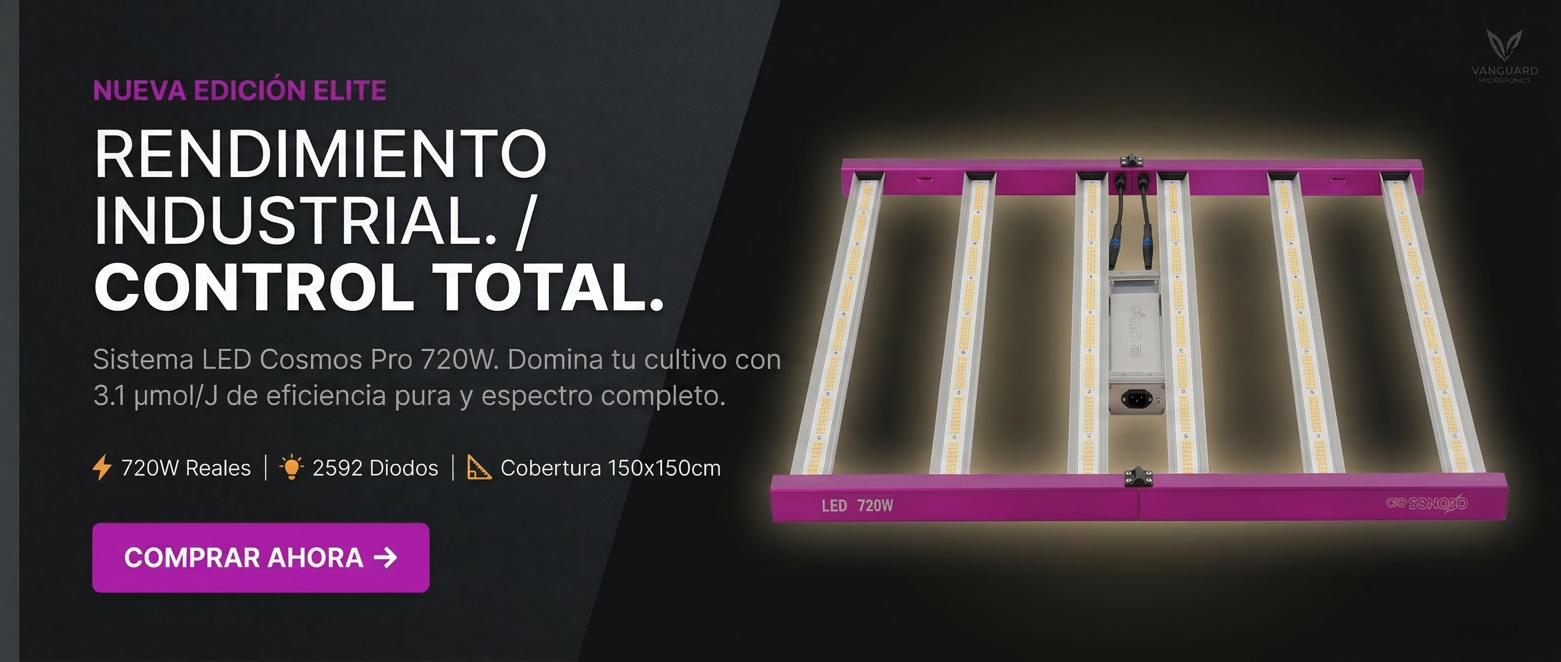 Título de la Sección