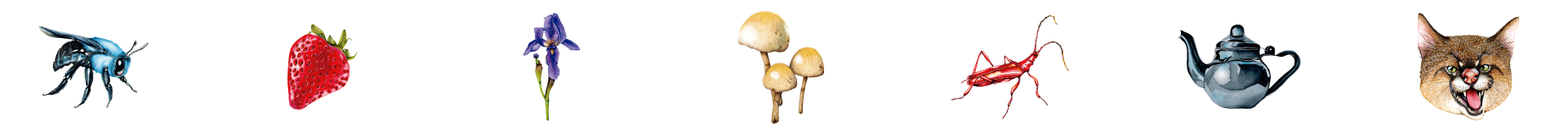 Título de la Sección